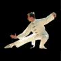 Tai-Chi "Der Drache bewegt sich auf dem Boden"