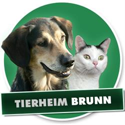 Tierschutzverein - Tierheim Brunn