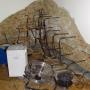 Für Entfeuchtung und Trocknung im Haus, wie etwa bei einer Mauertrocknung, erweitern Heizstäbe den Einsatzbereich von Entfeuchtungsgeräten. Denn Kondensattrockner, Adsorptionstrockner und Ventilatoren entfernen nach einem Wasserschaden die überschüssige Feuchtigkeit hauptsächlich aus der Luft und aus der Oberfläche der Mauer. Für Entfeuchtung und Trocknung im Haus, wie etwa bei einer Mauertrocknung, erweitern Heizstäbe den Einsatzbereich von Entfeuchtungsgeräten. Denn Kondensattrockner, Adsorptionstrockner und Ventilatoren entfernen nach einem Wasserschaden die überschüssige Feuchtigkeit hauptsächlich aus der Luft und aus der Oberfläche der Mauer.