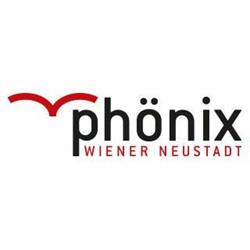 Phönix Wiener Neustadt, Verein Für Arbeits- und Beschäftigungsinitiativen