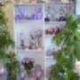Blüten-Zauber Kaiser 2000