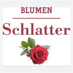 Blumen Schlatter