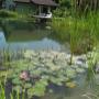 Biotope in 1180 Wien