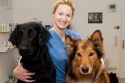 Tierarztpraxis Gersthof Dipl Tzt Sanja Saam BVetMed MRCVS