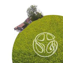 Sozialtherapeutikum Steiermark