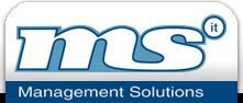 Managment Solutions Information Technology GmbH