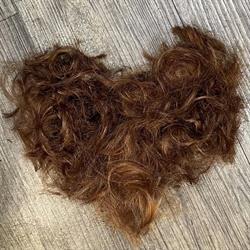 FRISEUR ZEHETNER
