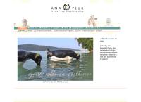 Ana Plus - Atelier f Bildhauerei