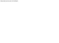 Webattack - Hoanzl & Schindecker OEG