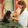 Unser Hundefriseur im TGZ Ragnitz Unser Hundefriseur im TGZ Ragnitz