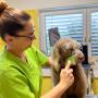 Friseur für Kleintiere - Tiergesundheitszentrum Ragnitz Friseur für Kleintiere - Tiergesundheitszentrum Ragnitz