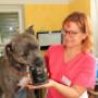 Artgerechte Ernährungen - Futtermittelberatung im Tiergesundheitszentrum Ragnitz Artgerechte Ernährungen - Futtermittelberatung im Tiergesundheitszentrum Ragnitz