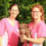 Unsere Tierärztinnen: Dr. Birgit Dastig & Dr. Manuela Scherwitzel-Mandl Unsere Tierärztinnen: Dr. Birgit Dastig & Dr. Manuela Scherwitzel-Mandl
