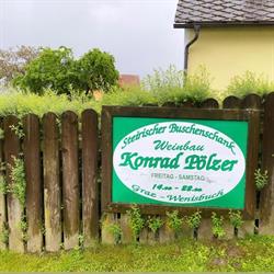Pölzer Konrad