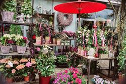 Blumen GRAN - Birgit Malner