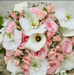 Blumen Galerie Mittersill