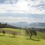 Ausblick (c) Zsolt Marton Ausblick (c) Zsolt Marton