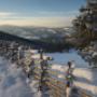 Winterlandschaft (c) Bernhard Bergmann Winterlandschaft (c) Bernhard Bergmann