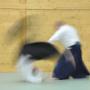 Aikido - die dynamische Kampfkunst