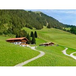 Salvenalm
