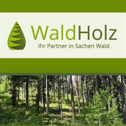 WHG WaldHolz GmbH