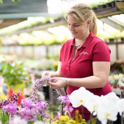Blumen Plettig KG - Bernau