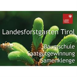 Tiroler Landesforstgarten - Nikolsdorf