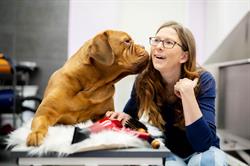 Hundesalon Kerstin Böhm