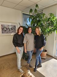 Bewohnerservice Aigen & Parsch