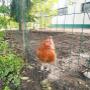 TIERKLINIK CEPICKA - Mag Albert u Mag Gabriele Cepicka in Schlins