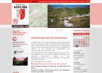 Website von Gemeindeamt Assling, Unterassling
