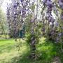 Schloss Ebenau, Schlosspark mit Gartenhaus ©Galerie Walker