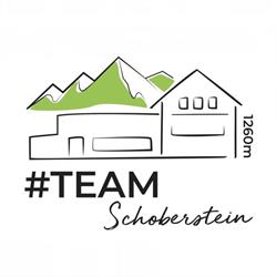 Schobersteinhaus, Ternberg