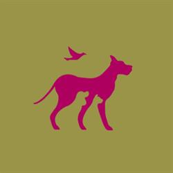 dogwalker & catsitter - Service Elisabeth Nagelreiter