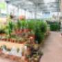 OBI Gartencenter Imst OBI Gartencenter Imst