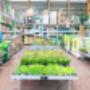 OBI Gartencenter Imst OBI Gartencenter Imst