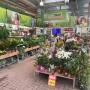 Garten Warmhalle Garten Warmhalle