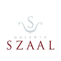 Galerie SZAAL, Wien