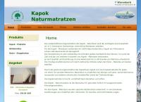 Website von Heinrich Buhl