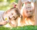 Fernkurs_Kindervitaltrainer_Bildungsweg_Zukunft