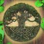 Balance und Leben