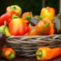 Paprika