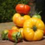 Tomaten