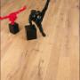 Design Parquet