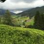 Gabühelblick