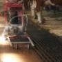 Stallboden sanieren