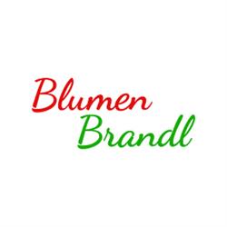 Blumen Brandl