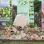 UMS Dienstleistungs-und Handels GmbH - Friedhofservice und Grabpflege