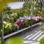 Der Nentwich Gartenshop