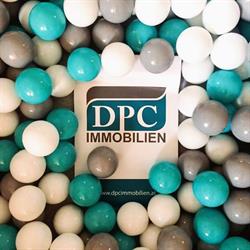 Danube Property Consulting Immobilien GmbH